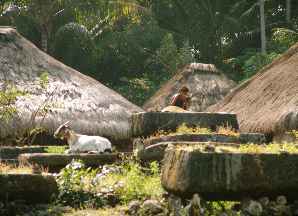 Photos Des Habitants Et Paysages De Sumba © André Graff Deleaupoursumba.org 10