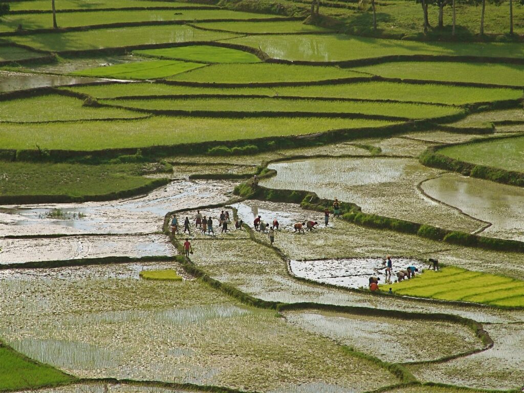 Photos Des Habitants Et Paysages De Sumba © André Graff Deleaupoursumba.org 11