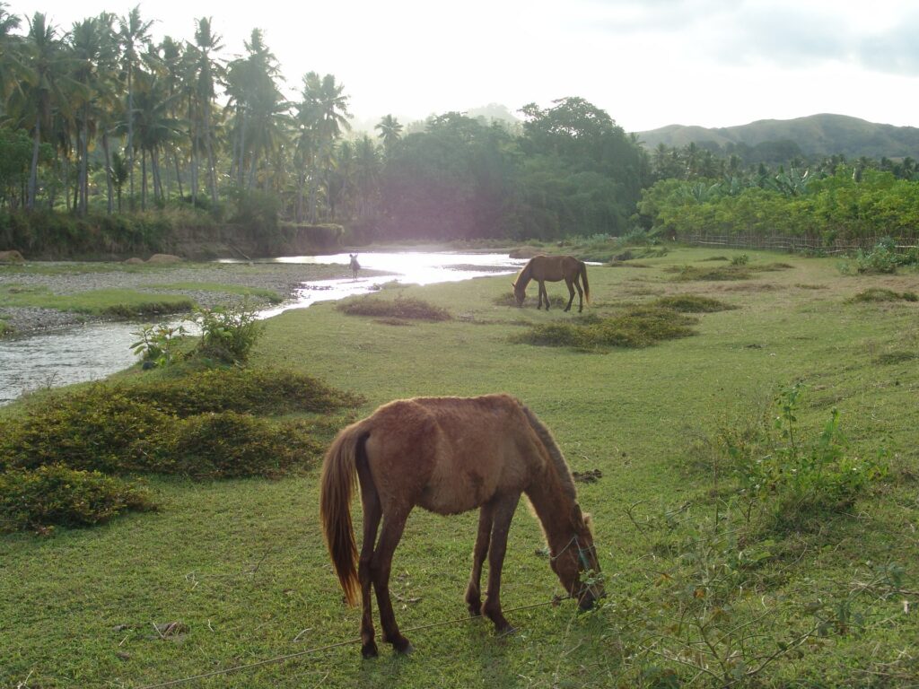 Photos Des Habitants Et Paysages De Sumba © André Graff Deleaupoursumba.org 13