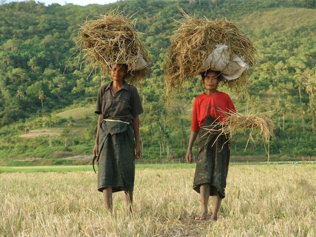 Photos Des Habitants Et Paysages De Sumba © André Graff Deleaupoursumba.org 21