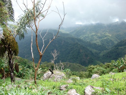 Photos Des Habitants Et Paysages De Sumba © André Graff Deleaupoursumba.org 28